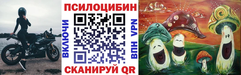 Псилоцибиновые грибы MAGIC MUSHROOMS  это формула  Городец  наркошоп 